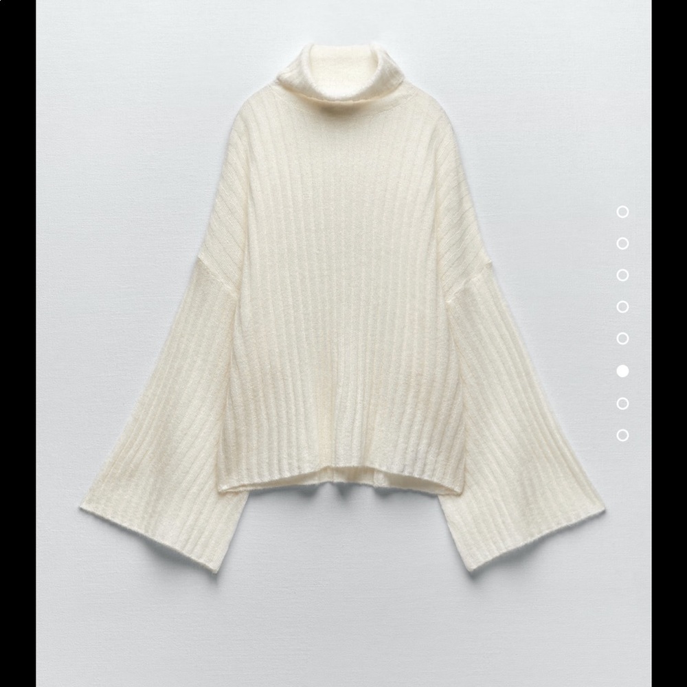 ZARA Sweater